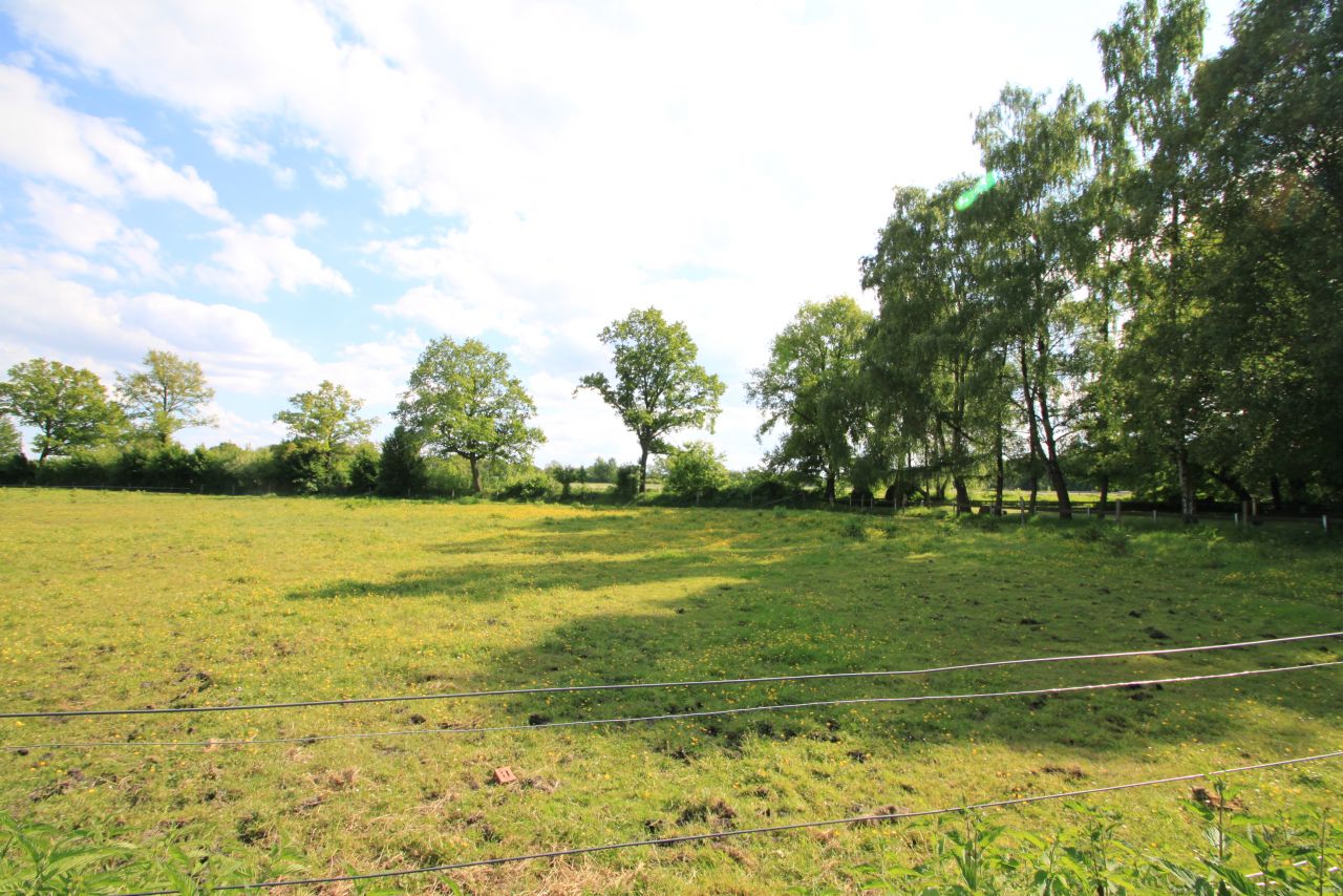 Traumgrundstück am Wasser  Traumgrundstück am Wasser